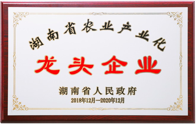关于易倍yibei(中国)